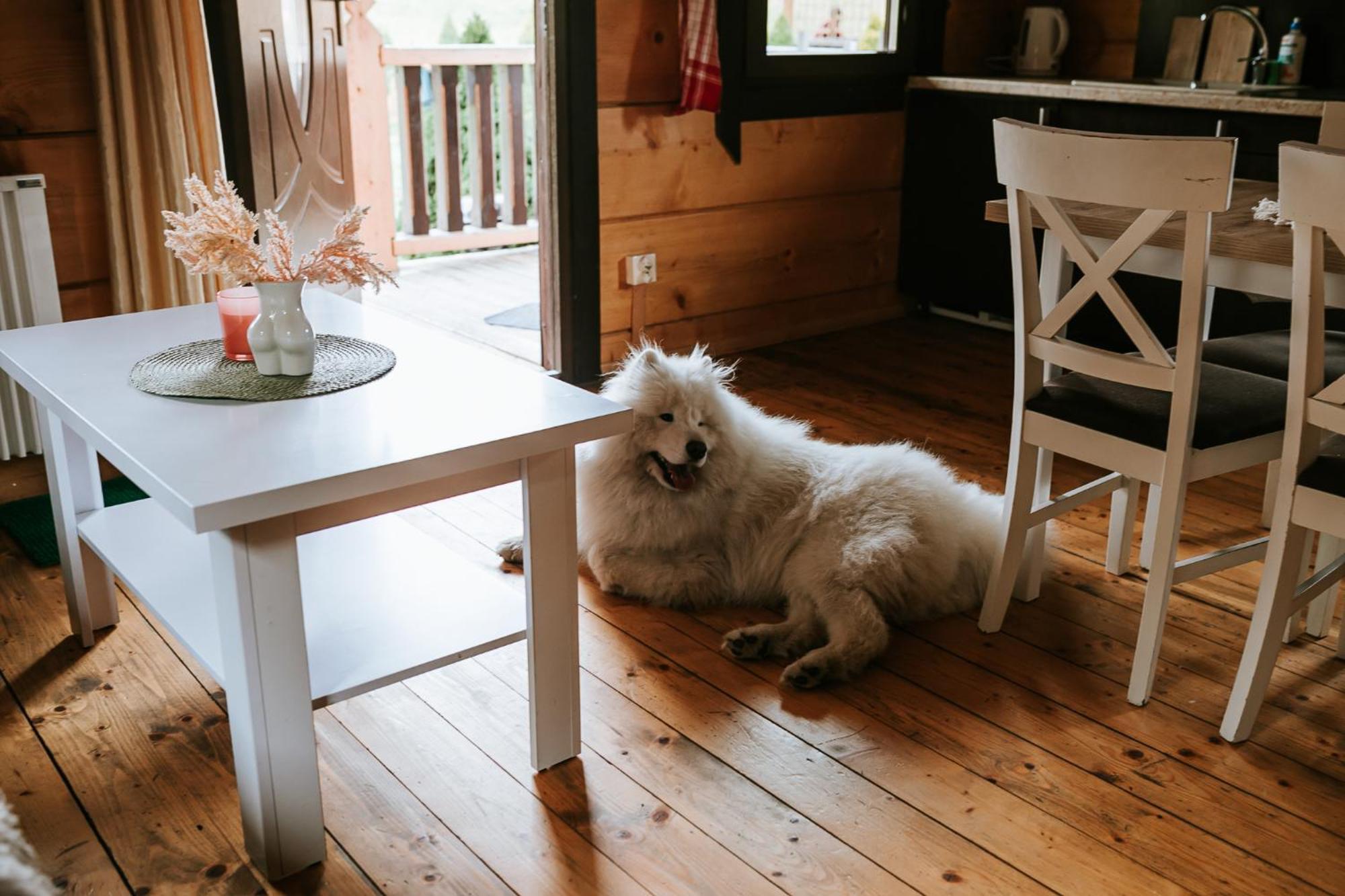 Domki,,Chatki Goralskie " Rabka-Zdrój Eksteriør billede